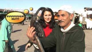 The Snake Charmers  Marrakech Morocco [upl. by Elleirbag147]