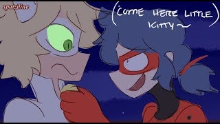 quotChat Blancquot Miraculous Ladybug COMIC DUB [upl. by Adahsar510]