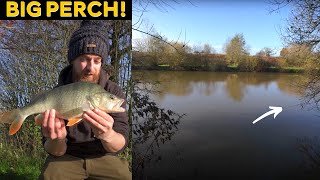 Float Fishing for Perch [upl. by Kenn]