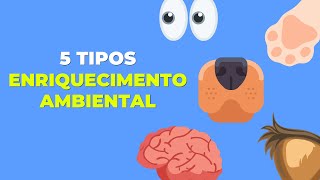 OS 5 TIPOS DE ENRIQUECIMENTO AMBIENTAL [upl. by Dadinirt]