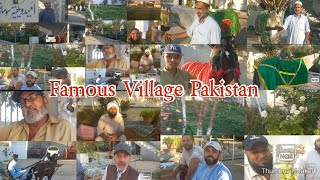 Pakistani famous village Malik Mala Hazro village life Umeed Welfare camp pathan horse Attock vlog [upl. by Nahej805]