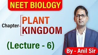 Plant Kingdom L6 neetbiology biology plantkingdom [upl. by Lachlan997]