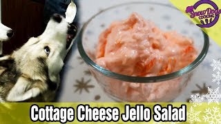 Jello Salad With Fruit Cocktail Recipe [upl. by Anircam820]