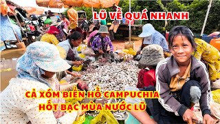 Sông Mê Kông Xả Lũ Lớn Nước Biển Hồ Dâng Ngập Nhà Cả Xóm Chợ Campuchia Hốt Bạc Vì Trúng Trăm Tấn Cá [upl. by Lanita847]