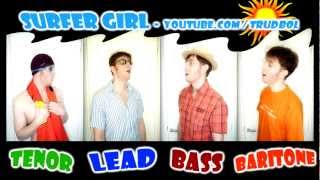 Surfer Girl Beach Boys  A CAPPELLA cover by Trudbol Julien Neel [upl. by Haerr805]