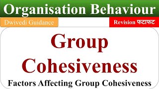 group cohesiveness group cohesiveness in organisational behaviour organisational behaviour OB [upl. by Illil488]