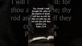 Psalm 234 KJV Audio Bible  Though I walk through the valley of the shadow of death [upl. by Meggy]