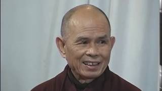 Turn Every Cell On  Dharma Talk by Thich Nhat Hanh 2005 11 12 [upl. by Arahd839]