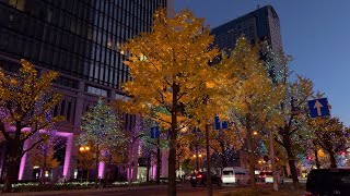 Japan Kansai Osaka Yodoyabashi Bridge Dusk Namba Night Ginkgo Roadside Yellow Christmas Tree [upl. by Tanya462]