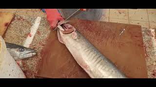 King Mackerel Cutting King mackerel Fish Cutting King Fish Cutting [upl. by Auhsohey]