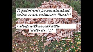 kotonadiy Tapetoinnit paketissa ja talvipuut suojassaquotTanssilavakin löytyi tontiltaquot 🤗🥰😄 [upl. by Annaid515]