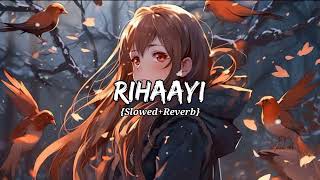 Rihaayi SlowedReverb Lofi Song  paradox [upl. by Theo]