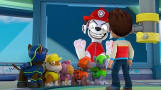 Paw Patrol on a Roll Ryder Rescue Mission Cartoon Fun Ep24 Nick Jr Hd [upl. by Irina973]