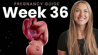 36 Weeks Pregnant  Week By Week Pregnancy [upl. by Blaine]