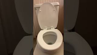 All You Need to Know About the Mayfair Toilet Seat [upl. by Ekal584]