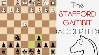 The Stafford Gambit Accepted Chess Openings [upl. by Lu655]