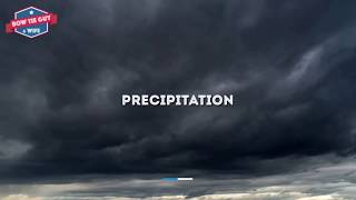 Precipitation  Science Educational Videos for Elementary Students and Kids [upl. by Wynne51]