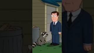 Peter hired a racoon translator familyguy popular vairalshort [upl. by Noyar]