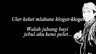 Didi Kempot Sekonyong konyong Koder Lyric [upl. by Ahsiemaj]