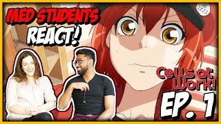 MED STUDENTS REACT TO CELLS AT WORK EPISODE 1 REACTION [upl. by Edette260]