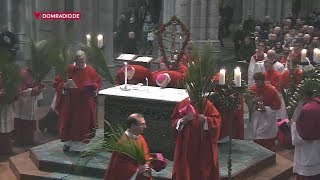 Holy Mass on Palm Sunday from Cologne Cathedral 14 April 2019 HD [upl. by Sisenej948]