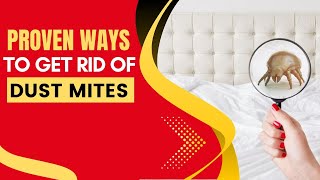 How To Remove Dust Mites From Mattress Naturally [upl. by Nillok]