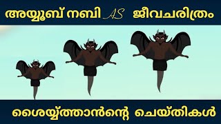 അയ്യൂബ് നബി AS ജീവചരിത്രം Quran Stories Malayalam Prophet Stories Malayalam Use of education [upl. by Melloney]