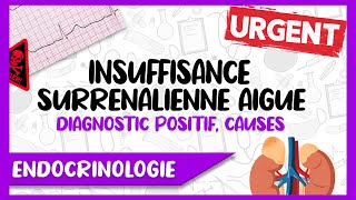 Comprendre l’Insuffisance Surrénalienne Aigue Diagnostic Causes Facteurs Déclenchant [upl. by Attevaj]