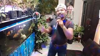 Karaoke Aduh Buyung Manis manja Group  Studio Record  Karaoke Hendra Nurwoko Live [upl. by Herman132]