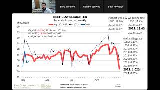 Feedlot Webinars Beef Cattle Market Outlook [upl. by Abehsat]