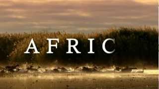 AFRICA [upl. by Ludovick143]