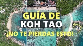 🤿 KOH TAO la isla más MOCHILERA de TAILANDIA y centro del BUCEO [upl. by Broddy]