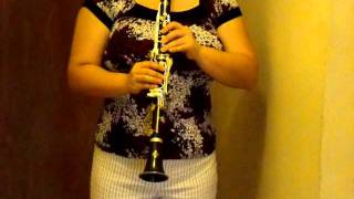 Buffet Crampon E11 Bb Clarinet [upl. by Atsirak]