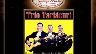 Trio Tariacuri  Los Dos Hermanos Corrido [upl. by Verras]