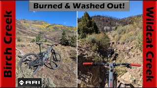 Rugged burned amp washed out old trails  Mountain Biking Tushar Mountains Utah [upl. by Read]