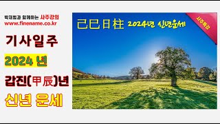 기사일주 2024년 갑진년 신년운세 사주분석 [upl. by Hyland]