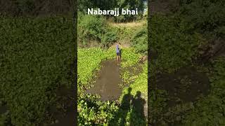 Nabaraj bhaaii [upl. by Blane215]