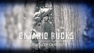 Ontario Bucks Teaser [upl. by Einnaf]