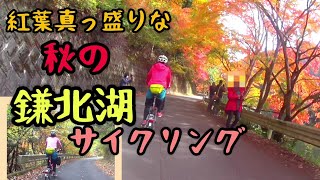 紅葉真っ盛り鎌北湖サイクリング2023年秋 ヒルクライム埼玉県自転車紅葉 [upl. by Aspasia]