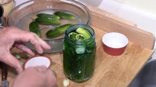 Lacto Fermented Sour Pickles one quart at a time [upl. by Durr198]