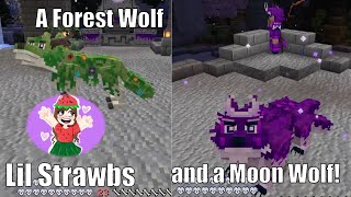 Wolf Life Part 5  Minecraft with Lil Strawbs [upl. by Asoj]