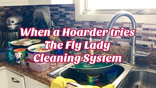 When Hoarders TRY the Flylady Cleaning Method Baby Steps Day 17 to Clean House Shine your Sink [upl. by Carie]