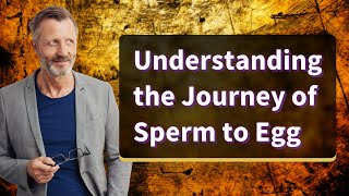 Understanding the Journey of Sperm to Egg [upl. by Ahab]