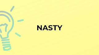 What is the meaning of the word NASTY [upl. by Enneillij151]