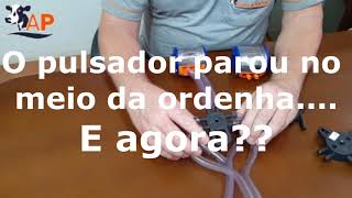 Pulsador estragou no meio da ordenha [upl. by Eimrej]