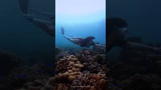 JC LAGBAS I Freediver [upl. by Feld]