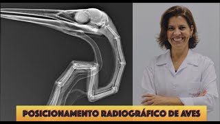 Posicionamento Radiográfico de Aves [upl. by Ullund]