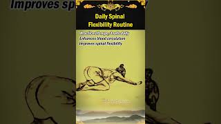 Daily Spinal Flexibility Routine [upl. by Barbaresi]