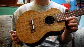 NEWKIWAYA KPC1M Concert【お茶の水店】 ukuleleshoptantan [upl. by Aurelia498]