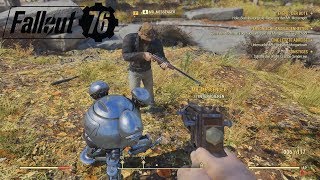 Fallout 76 – Der Bote amp Die lieben Mitspieler ◈ Gameplay German Deutsch [upl. by Ruckman]